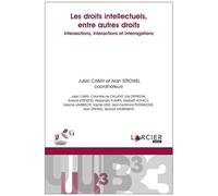 Les Droits Intellectuels, Entre Autres Droits - Intersections, Interactions Et Interrogations