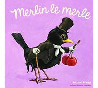 Les Drôles de Petites Bêtes - MERLIN LE MERLE