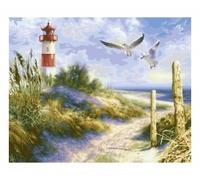 Schipper 609130884 Peinture par numéros - Paysage de dunes - Photos de peinture pour adultes - Pinceaux et peintures acryliques - 40 x 50 cm