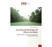 Les eaux de drainage de l'Oasis de Gabes Caracterisation et essais de traitements A l'echelle laboratoire - Amal Gueblaoui - Universitaires Europeennes - broché - Etude