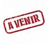 Les échecs et l'art de la guerre