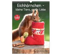 Les écureuils - petits animaux, grand amour, Version française (Calendrier mural 2026 DIN A3 portrait), Calendrier CALVENDO mensuel