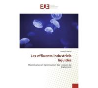 Les effluents industriels liquides Modelisation et Optimisation des stations de traitement - Younes Kacimi - Universitaires Europeennes - broché - Etude