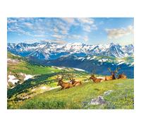 Les Élans À La Montagne - Puzzle 1000 Pièces