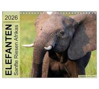 Les éléphants - doux géants d'Afrique, Version française (Calendrier mural 2026 DIN A4 portrait), Calendrier CALVENDO mensuel