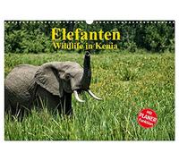 Les éléphants La vie sauvage au Kenya, Version française (Calendrier mural 2026 DIN A3 portrait), Calendrier CALVENDO mensuel