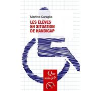 Les Élèves En Situation De Handicap