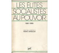 Les Elites Socialistes Au Pouvoir - Les Dirigeants Socialistes Face À L'etat, 1981-1985