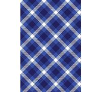 Les Elus et les pierres stellaires -Tome I - L'île de Lamero