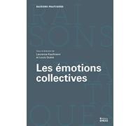 Les émotions collectives: En quête d'un "objet" impossible