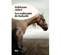 Les Endormis de Kalachi - Fabienne Juhel - Rouergue - broché - Roman