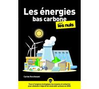 Les énergies bas carbone Pour les nuls - Carine Rocchesani - First - broché - Guide
