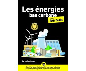 Les énergies bas carbone Pour les nuls - Carine Rocchesani - First - broché - Guide