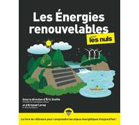 Les énergies renouvelables pour les Nuls – Grand format
