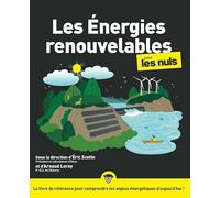 Les énergies renouvelables pour les Nuls – Grand format