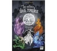 Les Enfants des saules - Tome 3 La porte des fées Charlotte Bousquet (Auteur), Xavier Collette (Illustration)