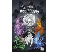Les Enfants des saules - Tome 3 La porte des fées - Charlotte Bousquet - Gulf Stream - broché - Roman junior