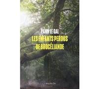 Les enfants perdus de Brocéliande Yann Le Gal (Auteur)