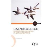 Les enjeux de l'oie Matthieu Guillemain (Auteur)