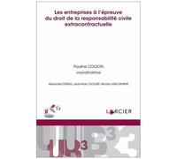 Les Entreprises À L'épreuve Du Droit De La Responsabilité Civile Extracontractuelle