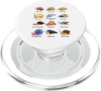 Les escargots du Monde - Espèces d'escargots PopSockets PopGrip pour MagSafe