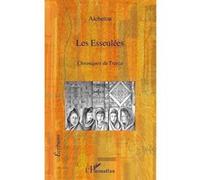 Les Esseulées Chroniques du Trarza - Aichetou - L'harmattan - broché - Roman