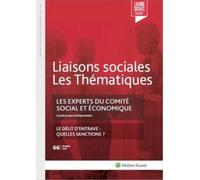 Les Experts Du Comite Social Et Economique - Cas De Recours Et Financement