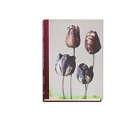 Les Extravagantes - Gilles Clément - Xavier Barral Eds - relié - Beau livre