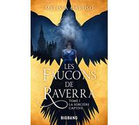 Les Faucons de Raverra, T1 : La Sorcière captive