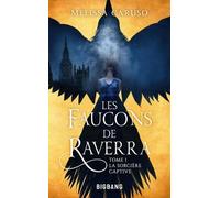 Les Faucons De Raverra - Tome 1 - La Sorcière Captive