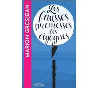 Les fausses promesses des cigognes Marion Jolles Grosjean (Auteur)