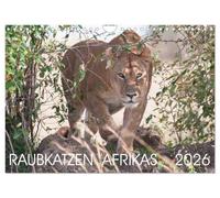 Les félins d'Afrique, Version française (Calendrier mural 2026 DIN A4 portrait), Calendrier CALVENDO mensuel
