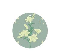 Les feuilles parfumées de lys blancs de dessin animé peuvent être utilisées pour la décoration ou pour rafraîchir l'air dans les chambres, les armoires,