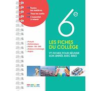 Les fiches du collège 6e: 171 fiches pour réussir son année avec brio