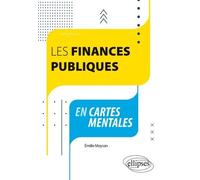 Les finances publiques en cartes mentales