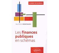 Les finances publiques en schémas