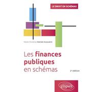 Les Finances Publiques En Schémas
