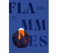 Les flammes, l'age de la ceramique - Collectif - Paris-Musees - broché - Beau livre