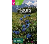Les fleurs de montagne - Gros plan sur les fleurs de montagne