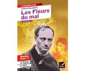 Les Fleurs du mal Charles Baudelaire (Auteur), Florence Bouchy (Auteur), Johan Faerber (Auteur)