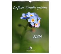 Les fleurs, éternelles éphemères (Calendrier mural 2026 DIN A3 horizontal), CALVENDO calendrier mensuel: Un calendrier poétique qui capture, mois ... fleurs dans toute leur splendeur éphémère.