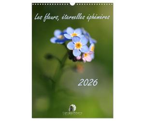 Les fleurs, éternelles éphemères (Calendrier mural 2027 DIN A3 horizontal), CALVENDO calendrier mensuel: Un calendrier poétique qui capture, mois ... fleurs dans toute leur splendeur éphémère.