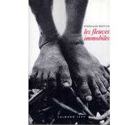 Les Fleuves immobiles - Stéphane Breton - Calmann-Levy - broché - Livre