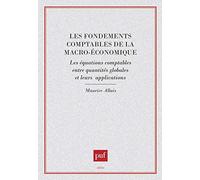 Les fondements comptables de la macro-économique : les équations comptables entre quantités globales et leurs applications