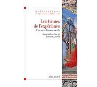 Les Formes De L'expérience - Une Autre Histoire Sociale