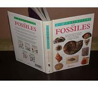 Les Fossiles