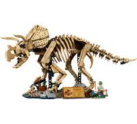 Les fossiles de dinosaure: le tricératops