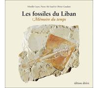 Les Fossiles Du Liban - Mémoire Du Temps