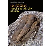 Les fossiles: Témoins de l'histoire de la vie