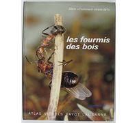 Les fourmis des bois